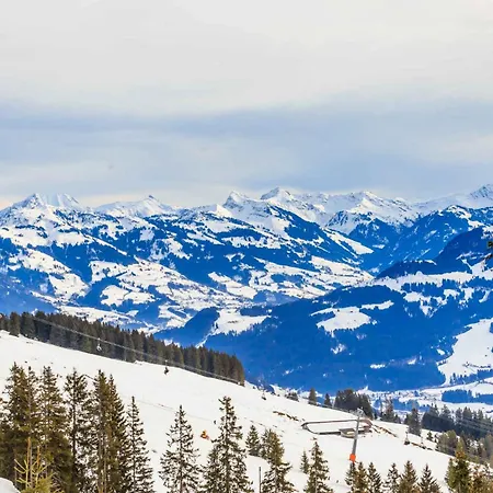 In - Zillertal 769 公寓