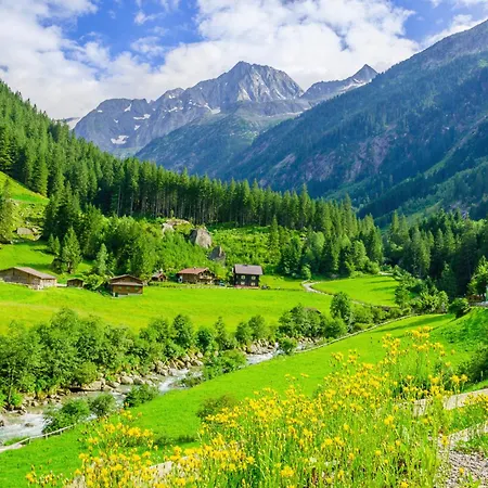 In - Zillertal 769 斯达姆