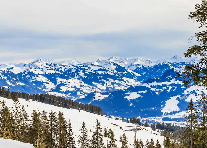 In - Zillertal 769 Appartement